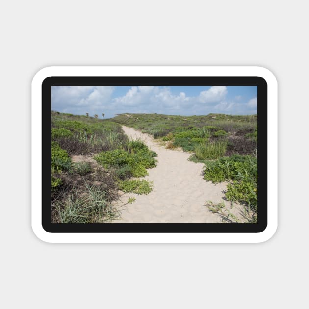 Beach Path Magnet by Jacquelie