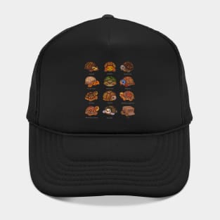 Box turtle Hat