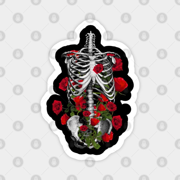 human anatomy rib cage Magnet by Collagedream