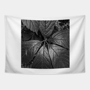 Black and White Big Leaves Tapestry