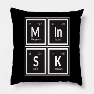 Element of Minsk Pillow