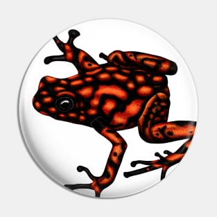 Harlequin poison frog Pin