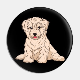 Havanese Dog Breed Pin