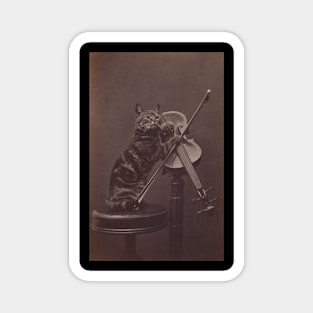 Cat on a Stool Playing a Violin Magnet