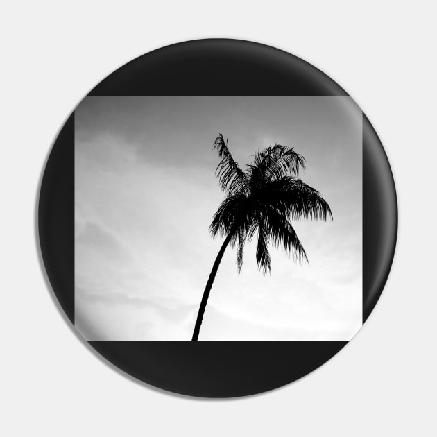 Palmtree black&white Pin by ColorsHappiness