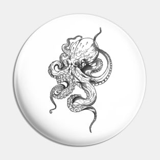 octopus  squid camouflage crab cephalopod jellyfish mollusc Pin