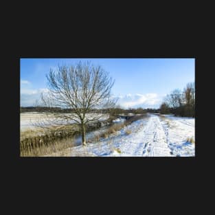 Winter Walk by the River T-Shirt