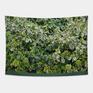 Emerald Gaiety, Gardener, Outdoor Explorer, Foliage, Shrub and Bush Leaves Tapestry