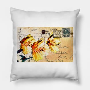 Himalayn Dandelion on Vintage 1912 Postcard Pillow