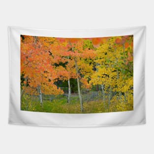 Colorado Aspens Bejeweled Tapestry