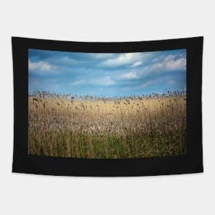 Field of reed Tapestry