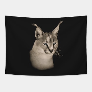 Caracal Wild Cat for Cat Lovers Tapestry