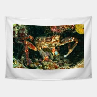 Caribbean King Crab Tapestry