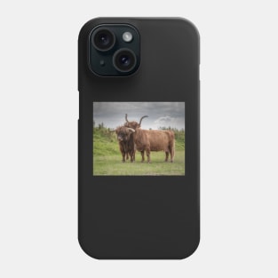 Highland Cows Phone Case