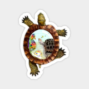 Turtle and Seahorse Magnet