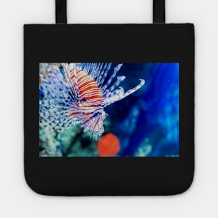 Red lionfish or zebrafish underwater Tote