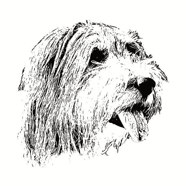 Bearded Collie gift for Collie Owners by DoggyStyles