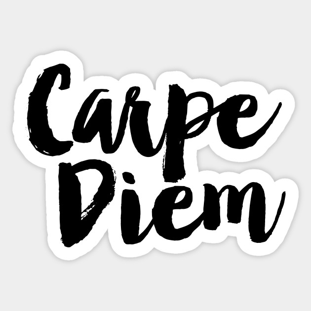 Carpe Diem Office Decor Sticker Teepublic