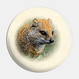 Yellow mongoose Pin