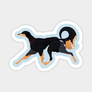 Saluki dog trotting Magnet