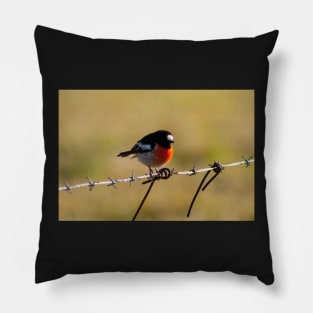 Scarlet Robin Pillow