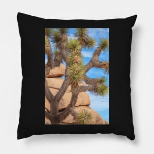 Joshua Tree Pillow