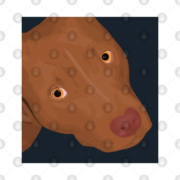 Cute Red Nose Pitbull Portrait - Vector Art by ibadishi