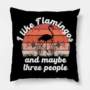 I like flamingos and maybe three people Pillow