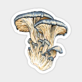 Oyster Mushrooms Magnet