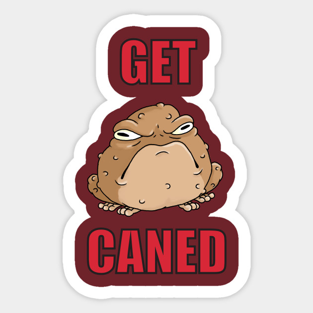 The Cane Toad Toad Sticker Teepublic