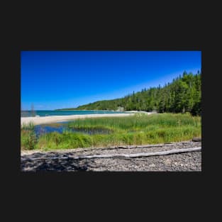 Tall Grass By The Water T-Shirt