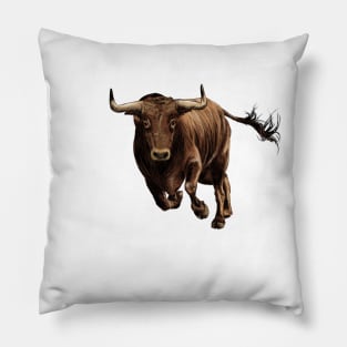 Corrida Pillow