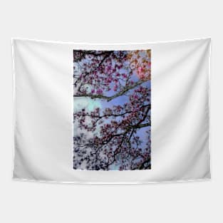 Cherry Blossoms Tapestry