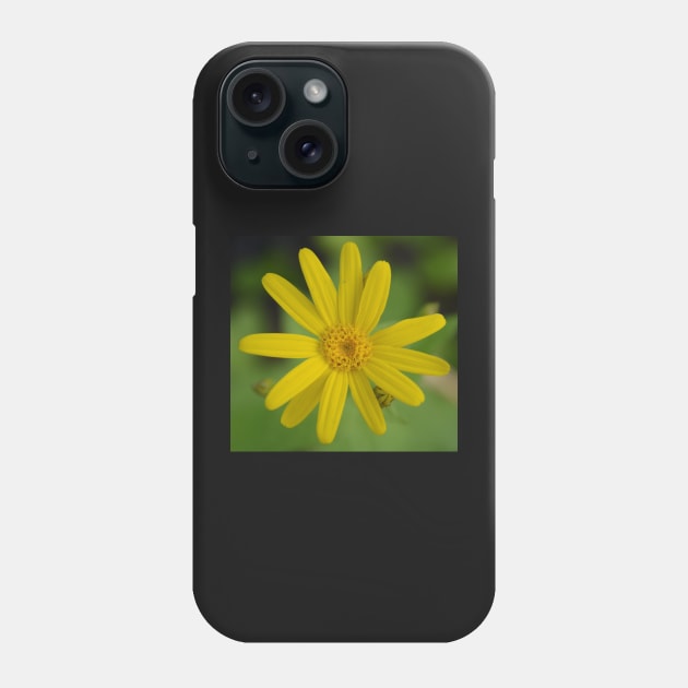 Arnica Phone Case by Whisperingpeaks