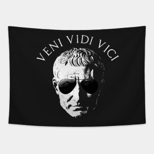 VENI VIDI VICI Gaius Julius Caesar Roman History Tapestry
