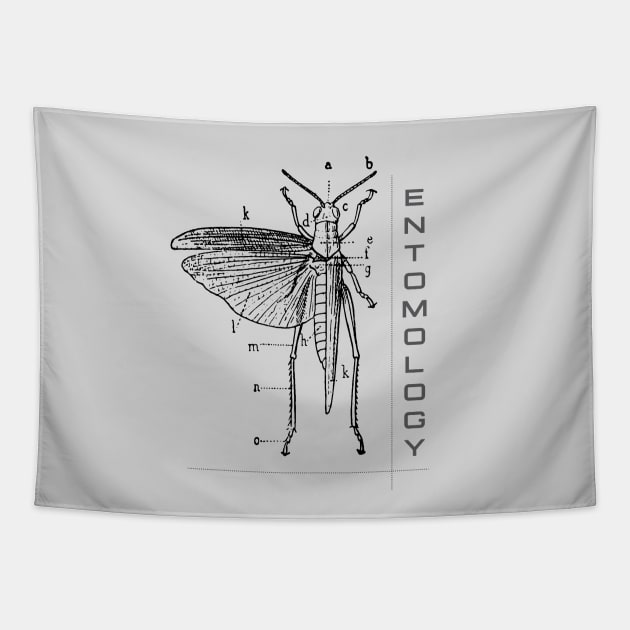 Entomology Tapestry by swirlydesign