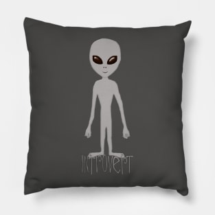 The Introverted Elusive Grey Pillow