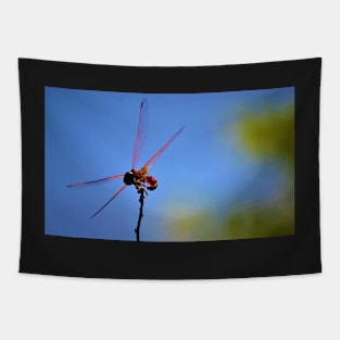 Dragonfly on a Stick 2 Tapestry