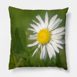 Daisy Macro Pillow