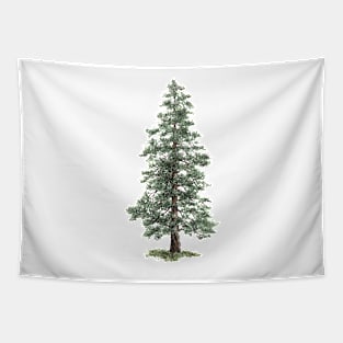 December birthday spruce tree Tapestry