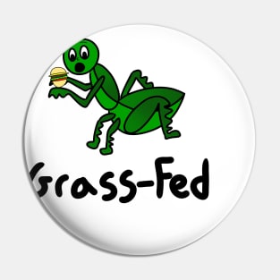 Funny Junk Food Grasshopper Pin