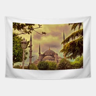 Turkey. Istanbul. The Blue Mosque. Tapestry