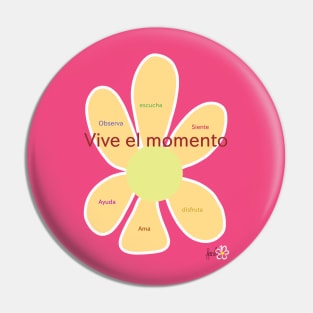 vive el momento Pin