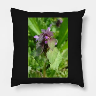 Dead Nettle Pillow