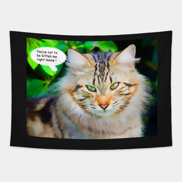 You've Cat to be Kitten Me Right Meow Tapestry by jillnightingale