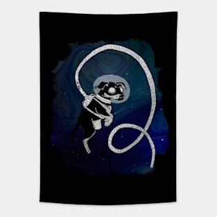 Pi the Nott-weiler in Space Tapestry