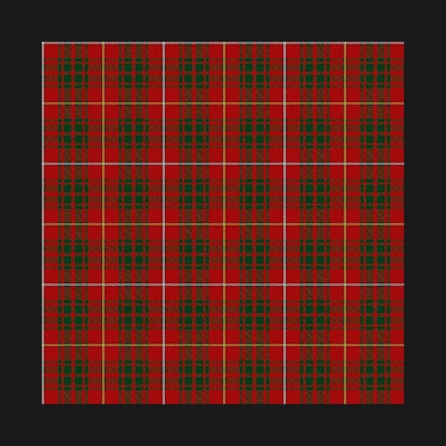 Bruce Clan Tartan (High Res) by clantartans