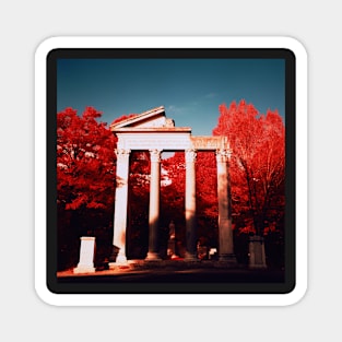 Borghese Gardens in Aerochrome Magnet