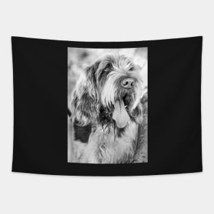 Nothing but love Spinone Tapestry