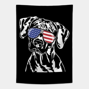 Funny Proud Rhodesian Ridgeback American Flag sunglasses Tapestry